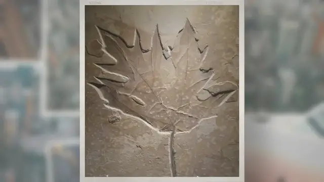Video thumbnail for How Are Plant Fossils Formed?