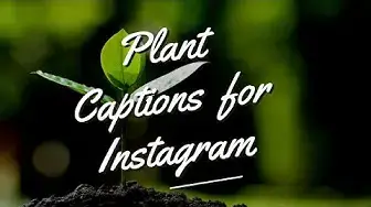 Video thumbnail for Plant Captions and Quotes for Instagram