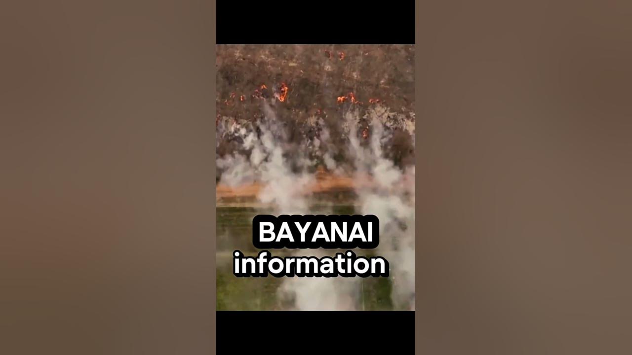 Video thumbnail for Zafafan Yanayi Na Zama Barazana Ga Lafiyar Jama'a