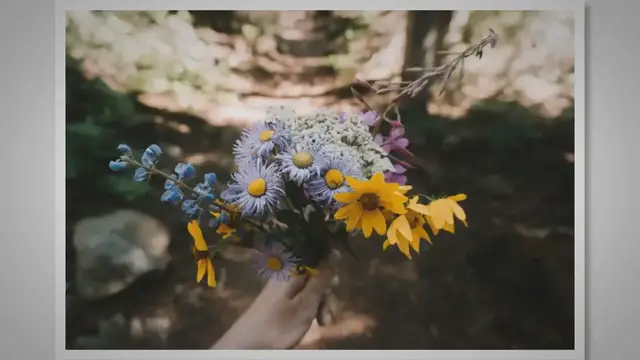 Video thumbnail for Embrace the Wild: Creating Stunning Bouquets with Foraged Flowers