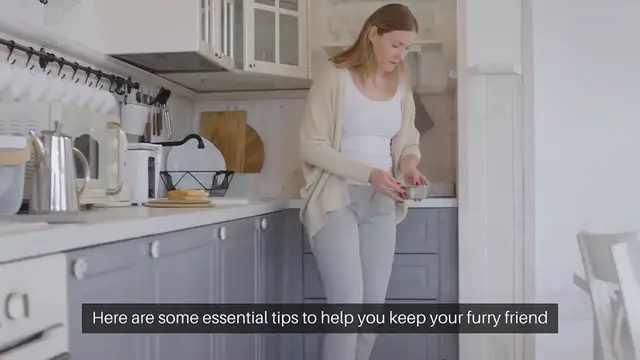 Video thumbnail for Pet Hydration Tips