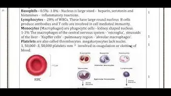 Video thumbnail for 11th Zoology Half Yearly Answer Keys 2018-19 (English Medium) | Team Aspirants