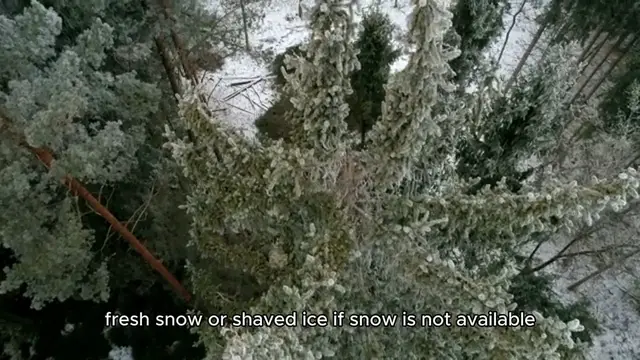 'Video thumbnail for Snow cream recipe '