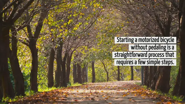 'Video thumbnail for How To Start A Motorized Bicycle Without Pedaling'