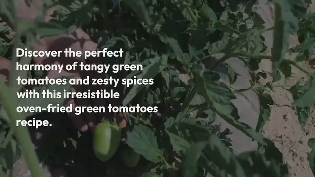 Video thumbnail for Tomatoes with Spicy Ranch