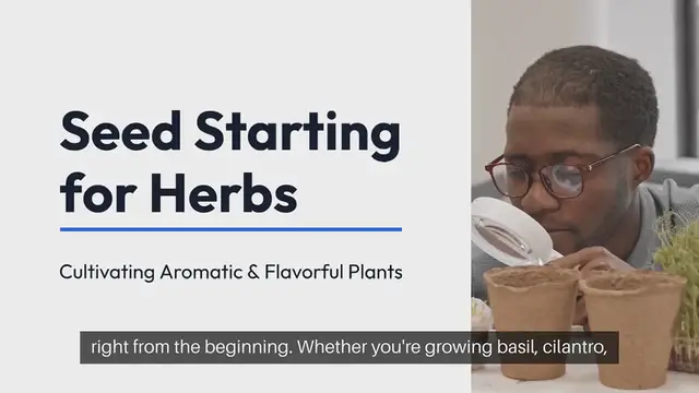 Video thumbnail for Seed Starting for Herbs