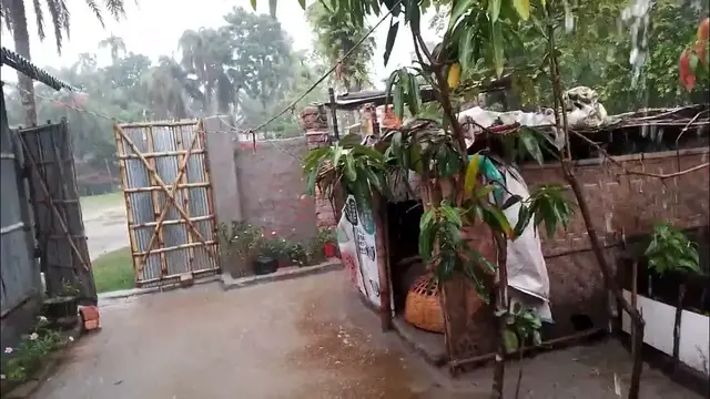 'Video thumbnail for বৃষ্টির দিনে প্রথম vlog'