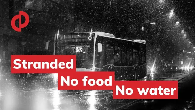 'Video thumbnail for Greyhound reviews: Left my service pup and I stranded'