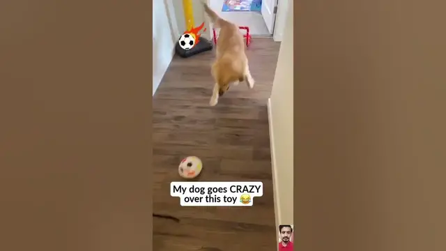 Video thumbnail for Active Core Training Disc with Lighting | 🔗 Link is in Description | #trending #tech #gadgets