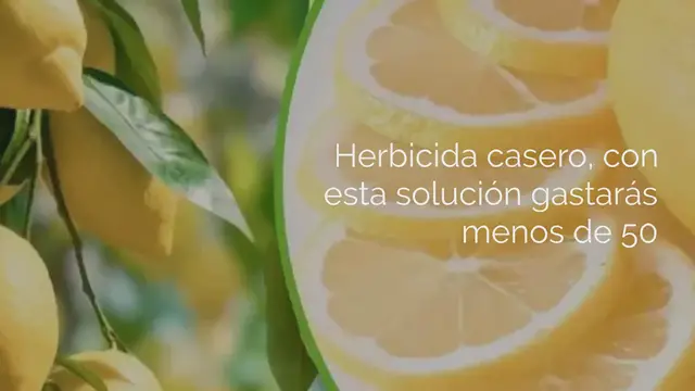 Video thumbnail for Herbicida casero por menos de 50 céntimos, lo preparas con 3 ingredientes