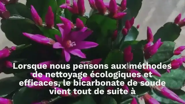 Video thumbnail for L‘astuce de génie pour nettoyer toute la maison juste avec du bicarbonate de soude