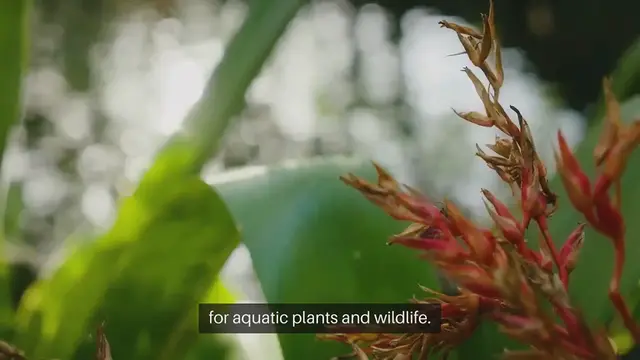 Video thumbnail for How to Build a Raised Garden Pond