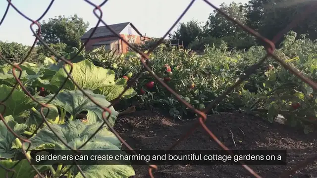 Video thumbnail for Cottage Gardening on a Budget Tips for Thrifty Gardeners