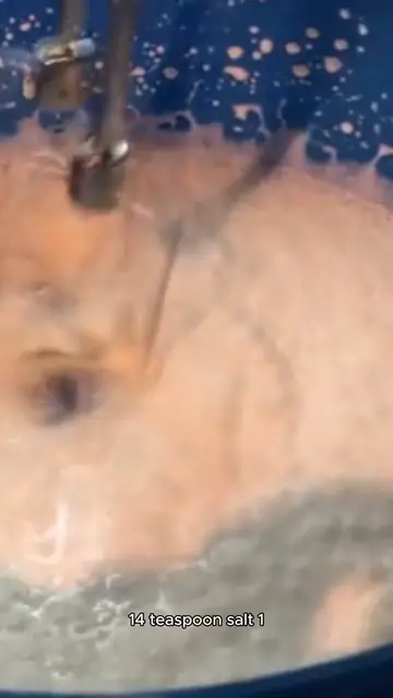 Video thumbnail for recipe with cottage cheese