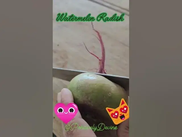 Video thumbnail for A watermelon and a daikon radish had a baby…and that baby grew up fabulous! 😍