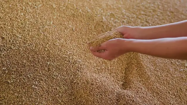 Video thumbnail for Finnish Karelian Pie Recipe