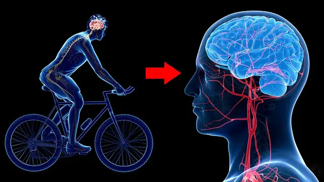 'Video thumbnail for Scientists Explain How Exercise Can Protect The Brain Against Depression And Anxiety'