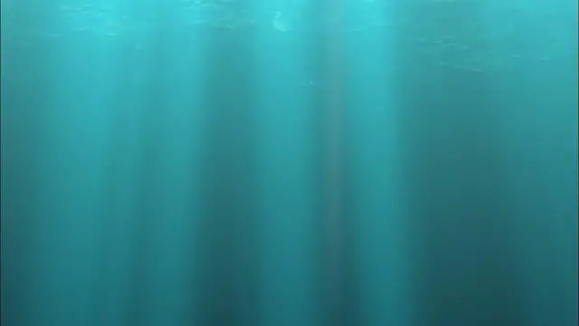 Video thumbnail for Relaxation 1