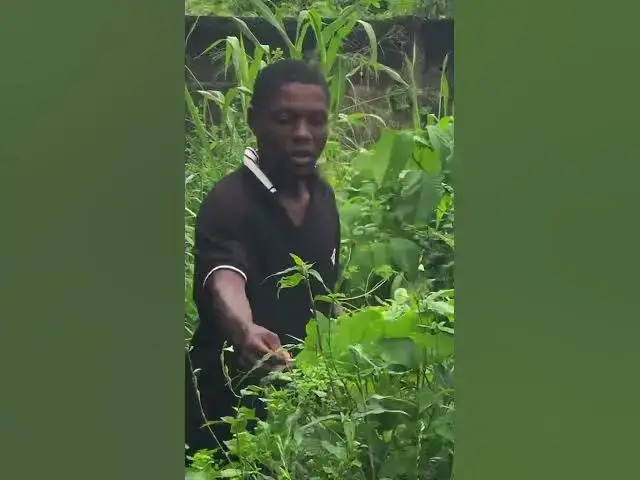 Video thumbnail for #pourtoi #story #comédie