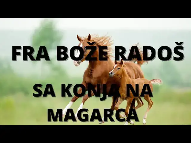 Video thumbnail for FRA BOŽE RADOŠ SA KONJA NA MAGARCA