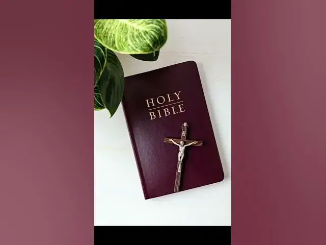 Video thumbnail for NJEMAČKI BISKUP: HOMOSEKSUALNI ODNOS NE ŠTETI NAŠEM ODNOSU SA BOGOM