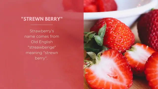 'Video thumbnail for Strawberry Fun Facts by Elune Blue'