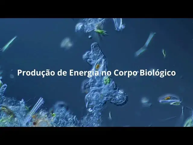 Video thumbnail for Como as células produzem energia?