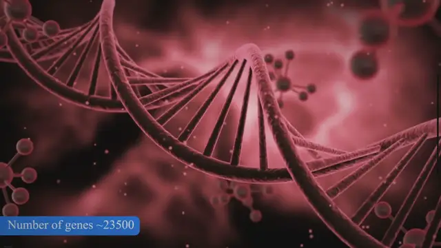 Video thumbnail for Why we need Bioinformatics?