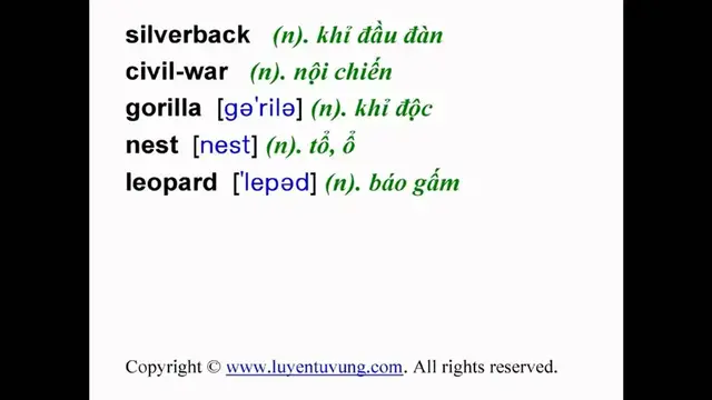 Video thumbnail for Learn English Vocabulary - Grade 12 - Unit 10 - Lesson 03