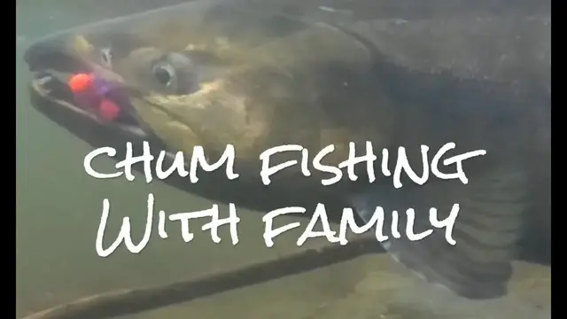 Video thumbnail for Epic chum fishing!