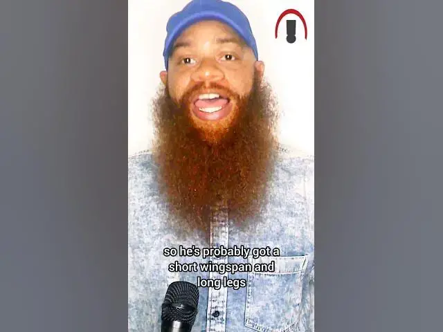 Video thumbnail for Bandman Kevo gets height surgery