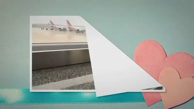 Video thumbnail for Flying With Emotional Support Dogs: The Ups And Downs Of Life In Coach