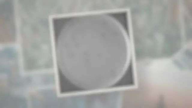 Video thumbnail for What Causes Phage Plaque Halo?