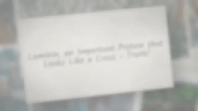 Video thumbnail for Laminin, a protein important to the body, is in the shape of a cross-Truth!