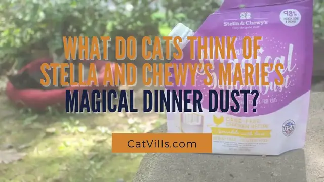 Video thumbnail for WHAT DO CATS THINK OF STELLA AND CHEWY’S MARIE’S MAGICAL DINNER DUST