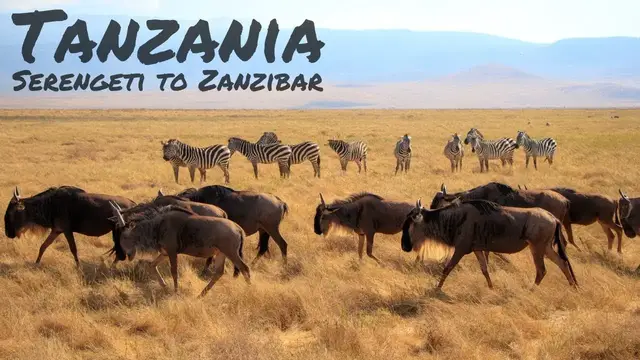 Video thumbnail for TRAVELLING TANZANIA - A Cinematic Journey