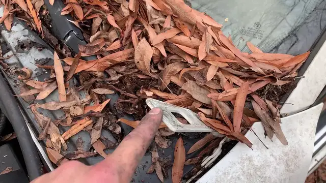 'Video thumbnail for How to Remove a BMW E36 Fender'