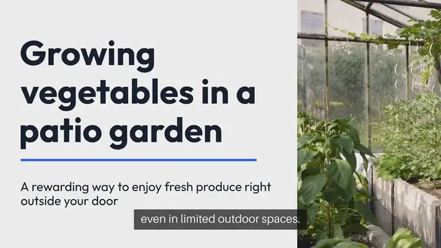 Video thumbnail for Patio Garden Vegetables