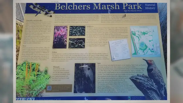 'Video thumbnail for Belchers Marsh Park - Natural History'