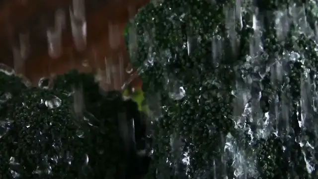 Video thumbnail for  Roasted Broccoli: The Unexpected Superstar of Your Dinner Plate