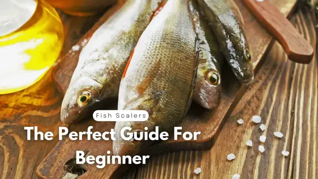 Video thumbnail for Fish Scalers, The Perfect Guide For Beginner