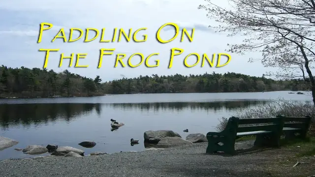 Video thumbnail for Frog Pond Paddle - Fleming Park. Halifax, Nova Scotia.
