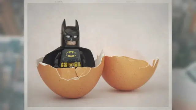 Video thumbnail for Do Bats Lay Eggs? Or Are They Mammals?