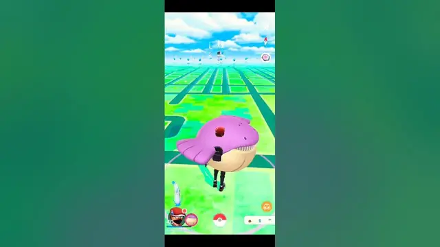 Video thumbnail for 🐋✨ Big Whale Wailmer Shiny Want Hanging Out With Me! ✨🐋 #shiny