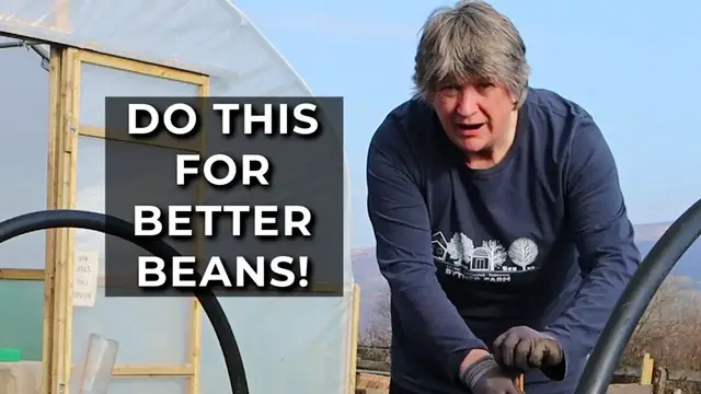 'Video thumbnail for How to make a support for fava beans | Supports for broad beans'