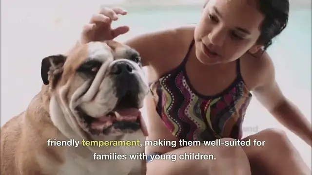 'Video thumbnail for Top 5 Dog breeds for family'