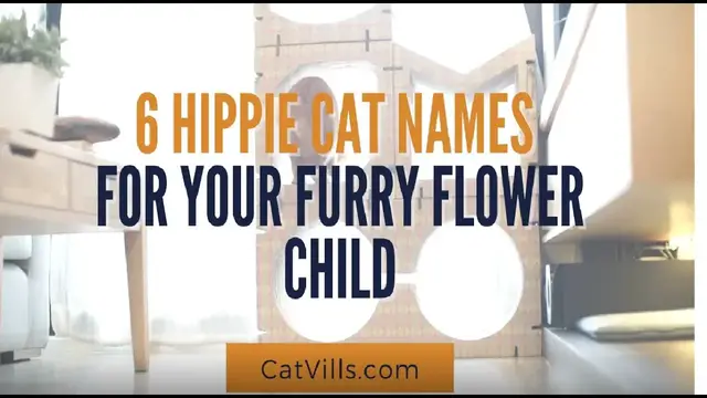 Video thumbnail for 6 HIPPIE CAT NAMES FOR YOUR FURRY FLOWER CHILD
