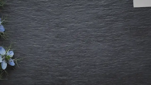 Video thumbnail for The Ultimate Guide To Starting Seeds Indoors