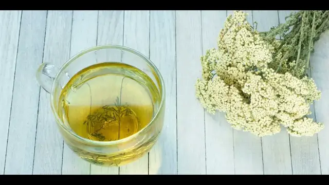 Video thumbnail for Yarrow Tea, Superb 5 Benefits of This Tea