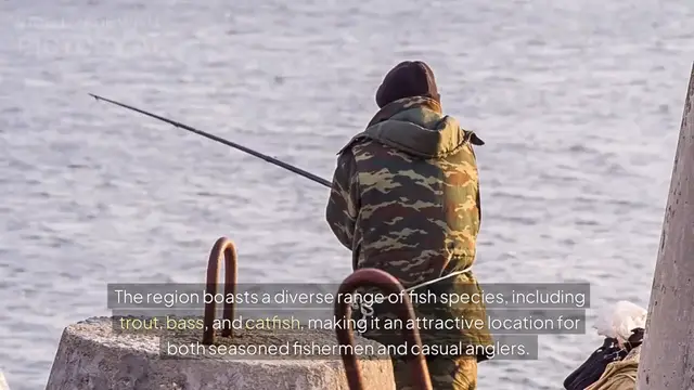 'Video thumbnail for Eastern Sierra Fish Reports'